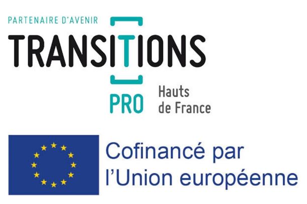 Logo Transitions Pro pt format