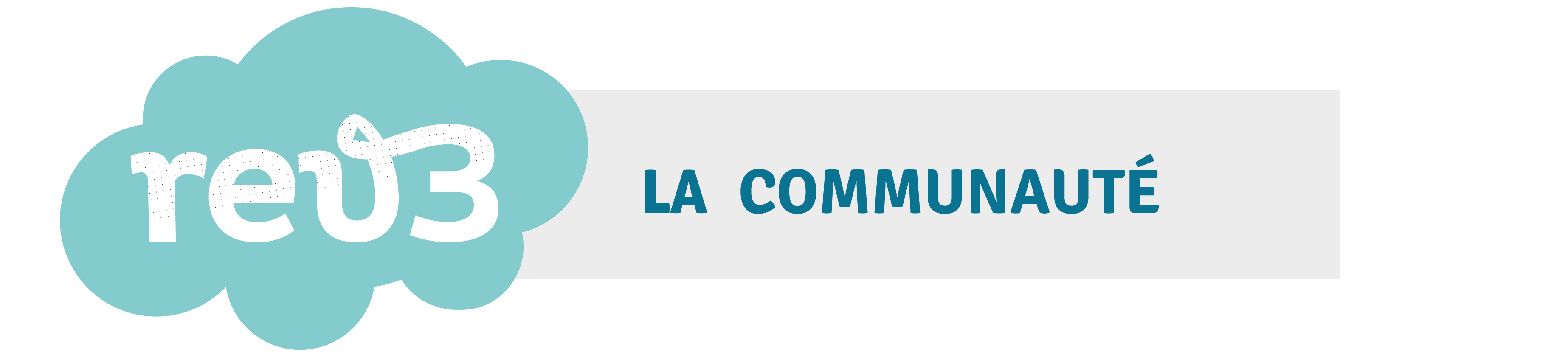 Communauté Rev3