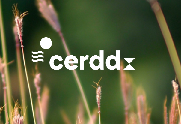 cerdd