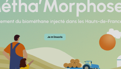 Méta Morphose