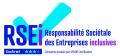 RSEI Responsabilité Sociétale des Entreprise Inclusives