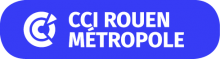 logo_rm2019_cartouche_bleu_web.png