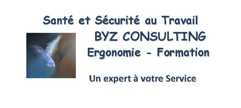 BYZ-CONSULTING Ergonomie expert en amélioration des performances