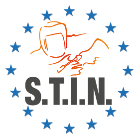 Logo STIN
