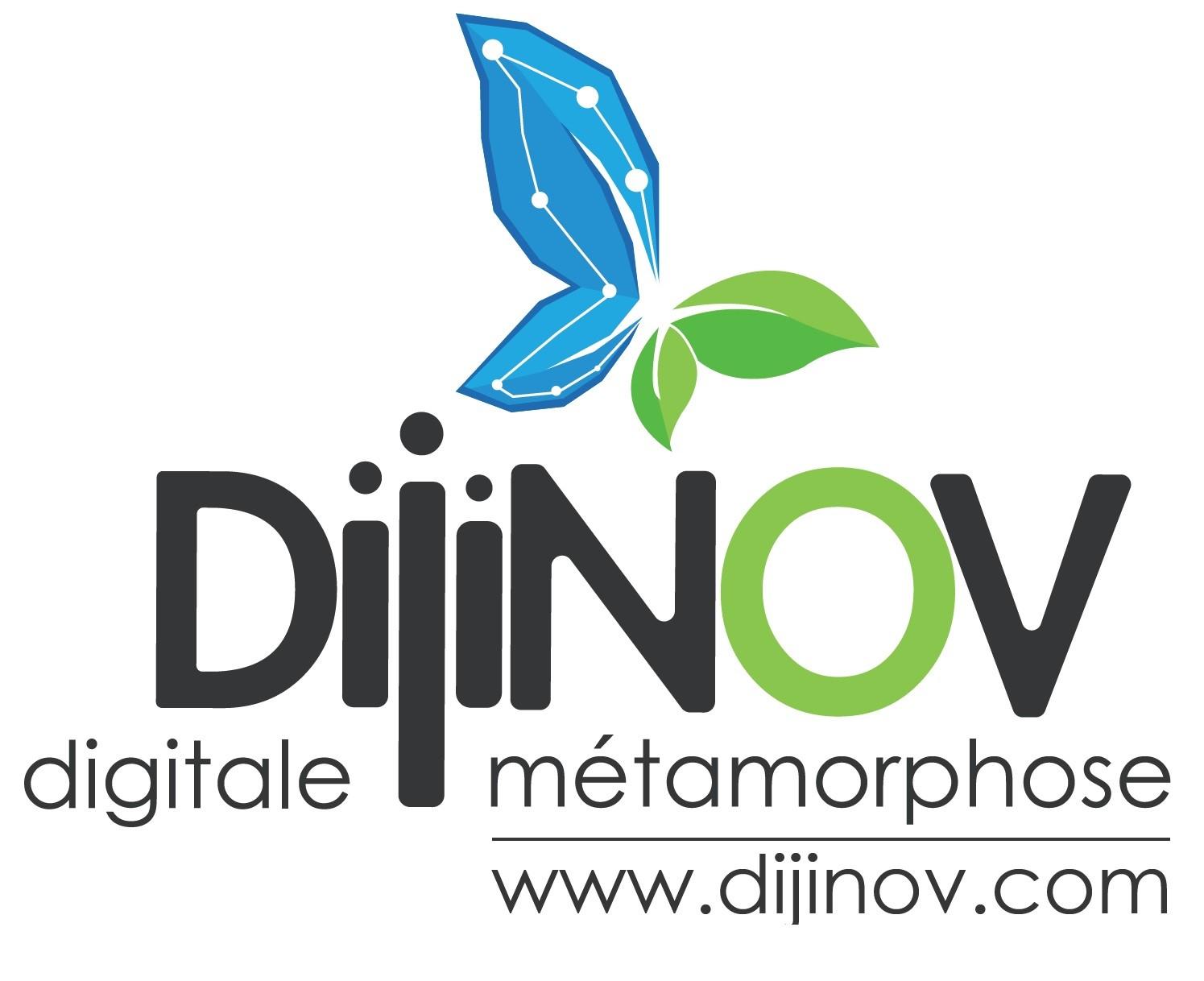 Logo Dijinov