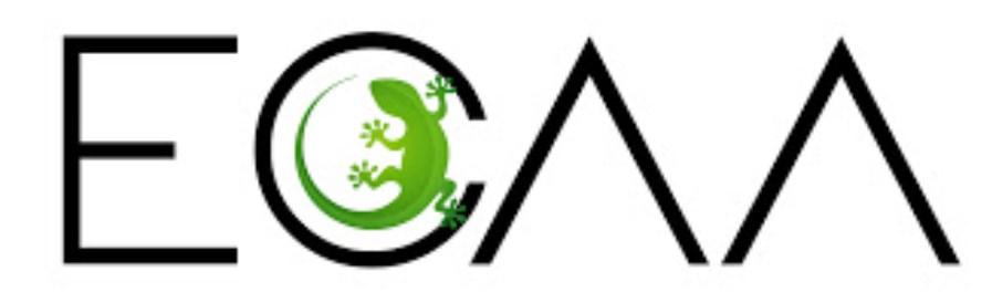 logo ECAA